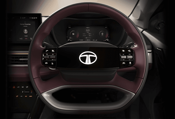 Steering Wheel
