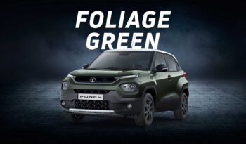 punch-icng-foliage-green