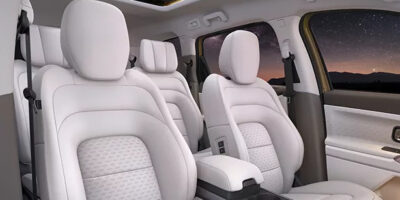 benecke-kaliko-oyster-leather-seats