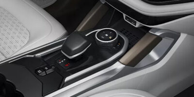 e-shifter-crop-new-safari