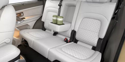 pt-elr-seat-belt-new-safari