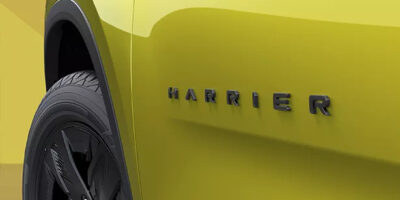signature-harrier-mascot